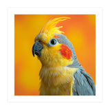 Close Up Cockatiel Parrot With Yellow Crest (Print Only) thumbnail