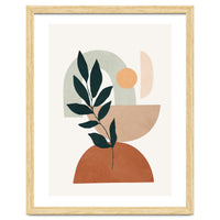Soft Shapes IV