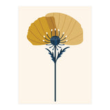 Ochre Half Poppy (Print Only) thumbnail
