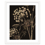 Wildflowers I thumbnail