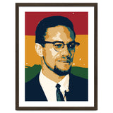 Malcolm X thumbnail