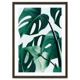 Monstera Tropical Photography Digital Art, Minimal Nature Jungle Botanical Leaves thumbnail