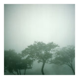 Silence of breath - 17 (Print Only) thumbnail