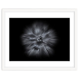 Backyard Flowers In Black And White No 66 Flow Version thumbnail