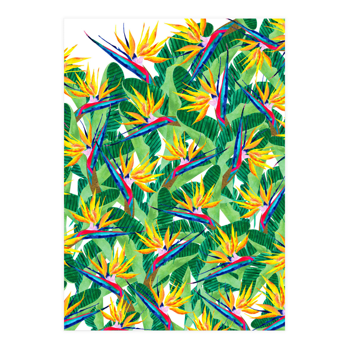 Summer Strelitzia (Print Only)