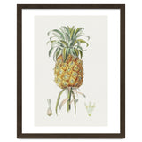 Pineapple (Hand Drawn Botanical Illustration) thumbnail