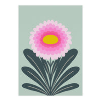 Chrysanthemum - turquoise and pink (Print Only)