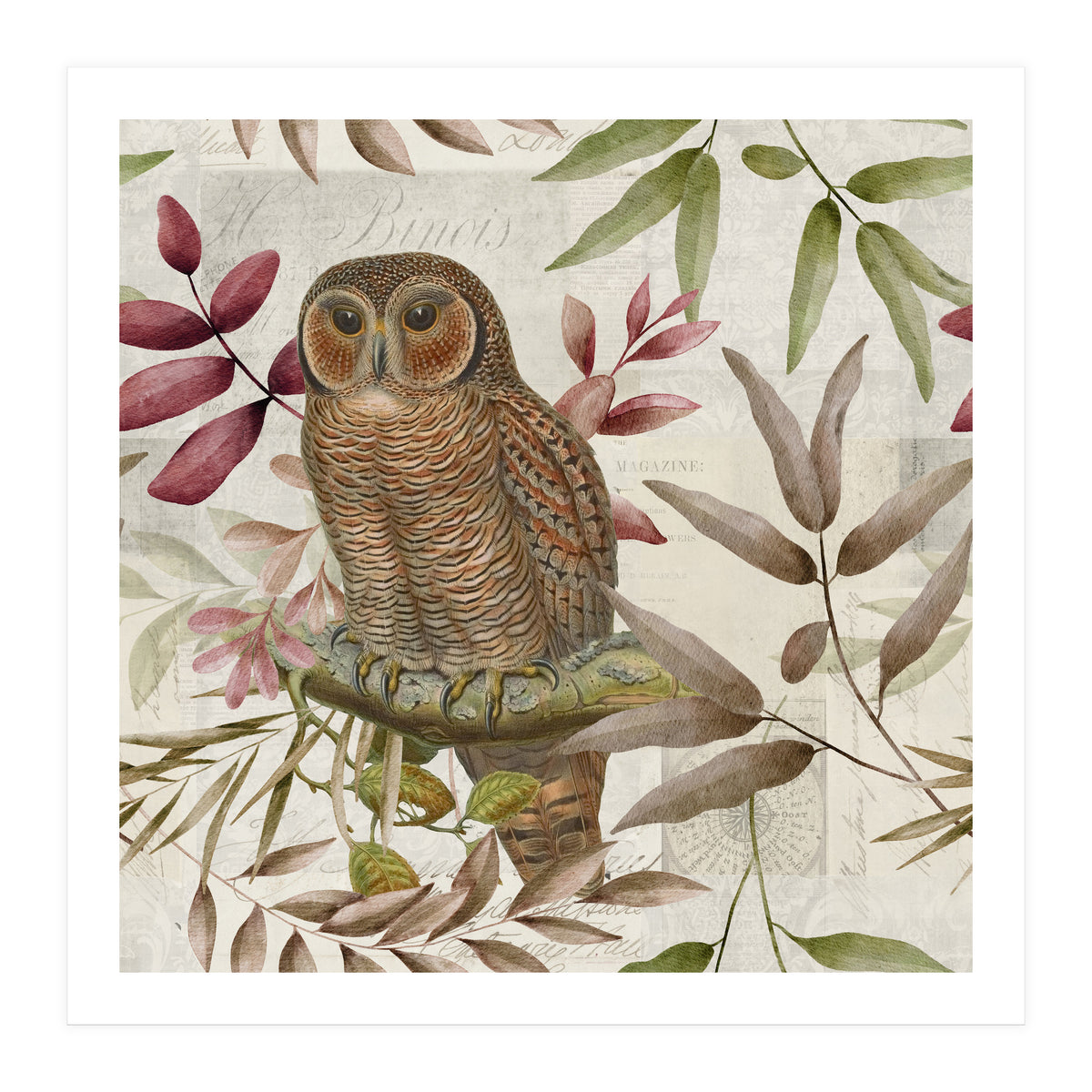 Autumn Owl (Print Only)