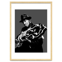 Taj Mahal American Blues Musician Legend