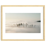 Misty Peaks: Pine Forest Above the Clouds thumbnail