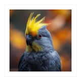 Close-up Portrait of a Yellow Cockatoo in the Wild. (Print Only) thumbnail