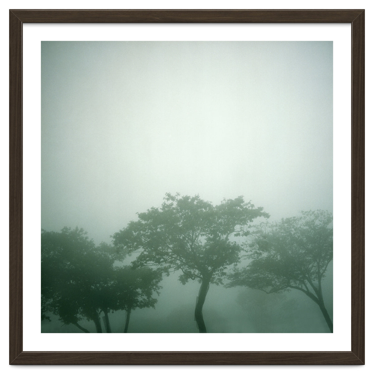 Silence of breath - 17