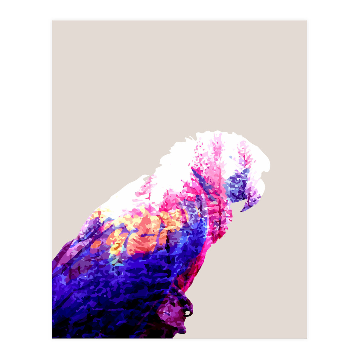 Macaw (Print Only)