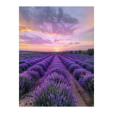 Infinite Horizons (Print Only) thumbnail