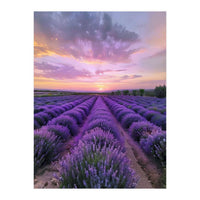 Infinite Horizons (Print Only)