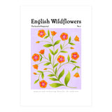 English Wildflowers | Scarlet Pimpernel  (Print Only) thumbnail