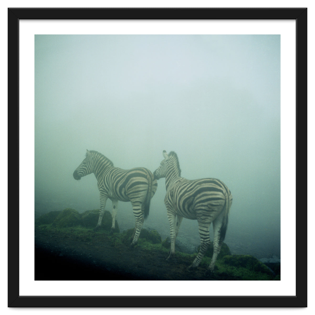 Silence of breath - 14