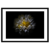 Backyard Flowers No 25 Color Flow Version