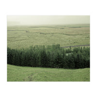 Small forest - Iceland (Print Only)