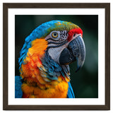 Close Up Of A Colorful Macaw Parrot thumbnail