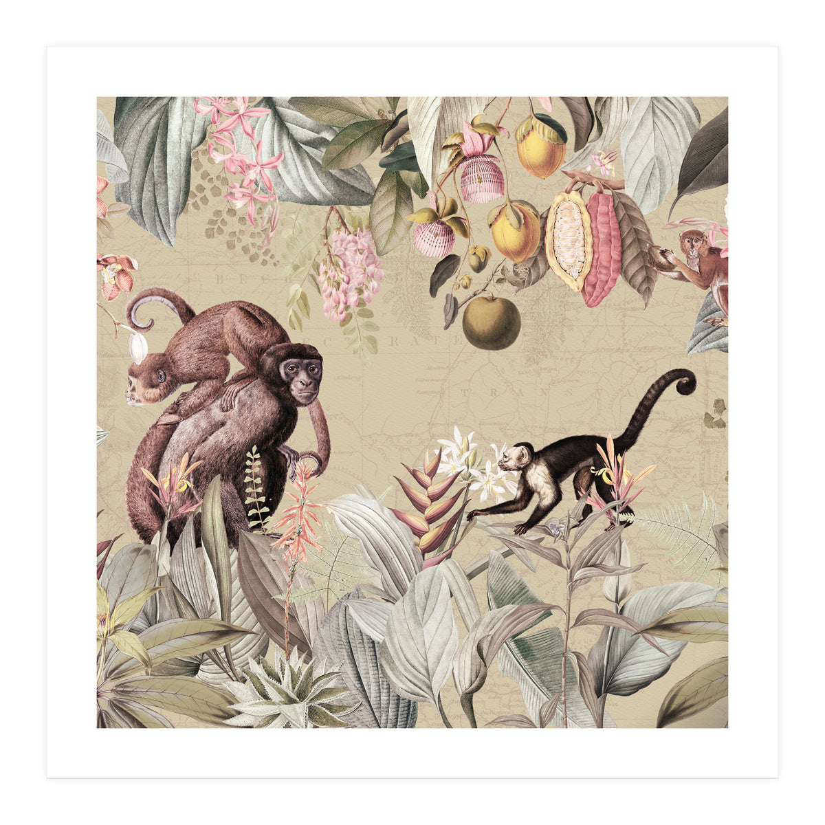 Vintage Exotic Monkeys In African Jungle Landscape (Print Only)
