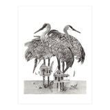 16x20 (Print Only) thumbnail