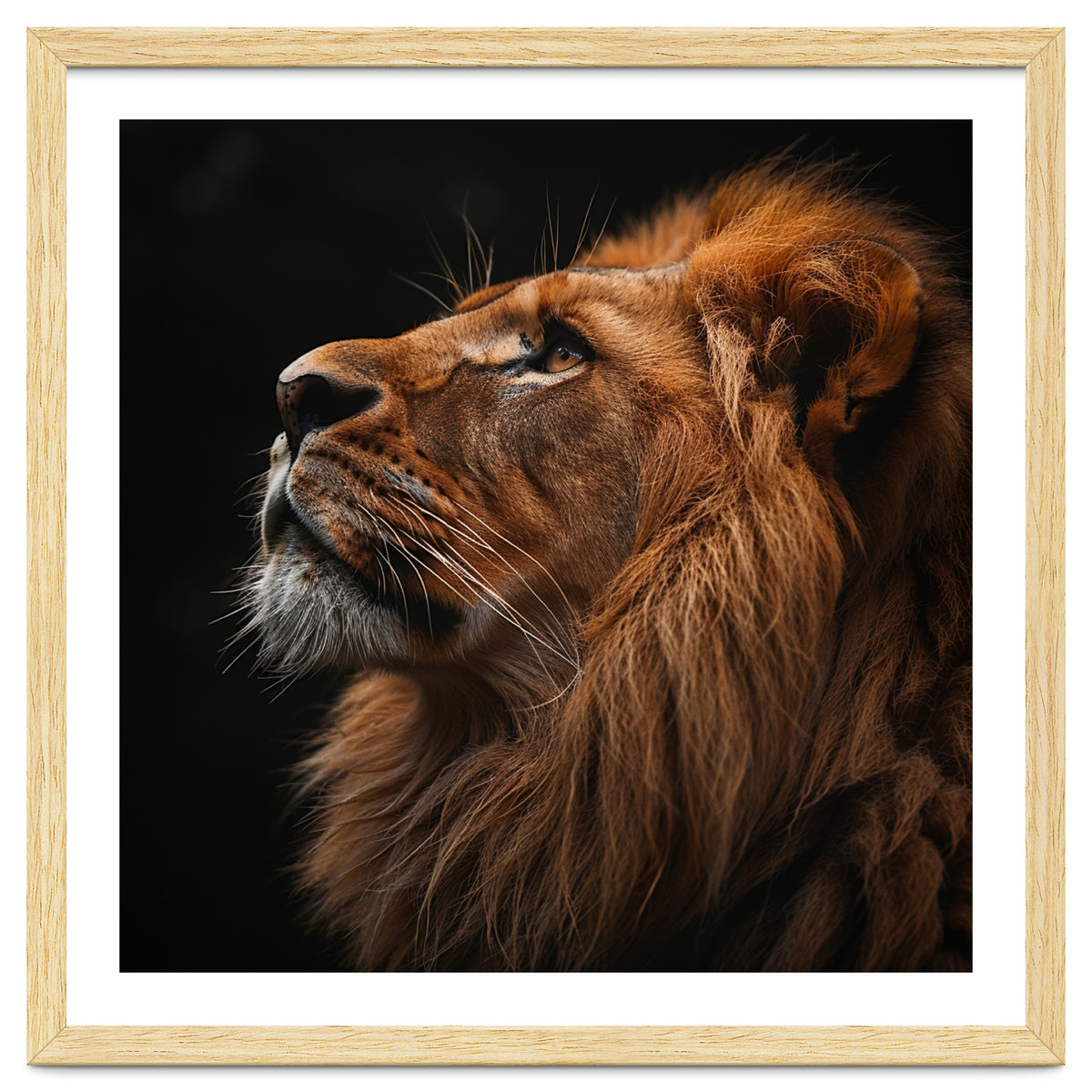 Majestic Lion Portrait Profile Majestic Beast