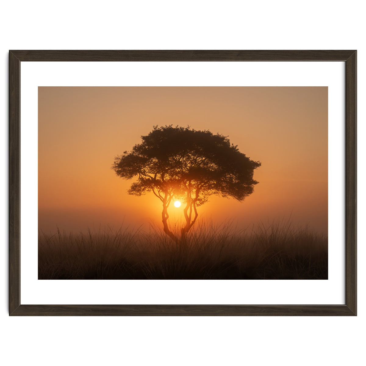 Tree at sunrise