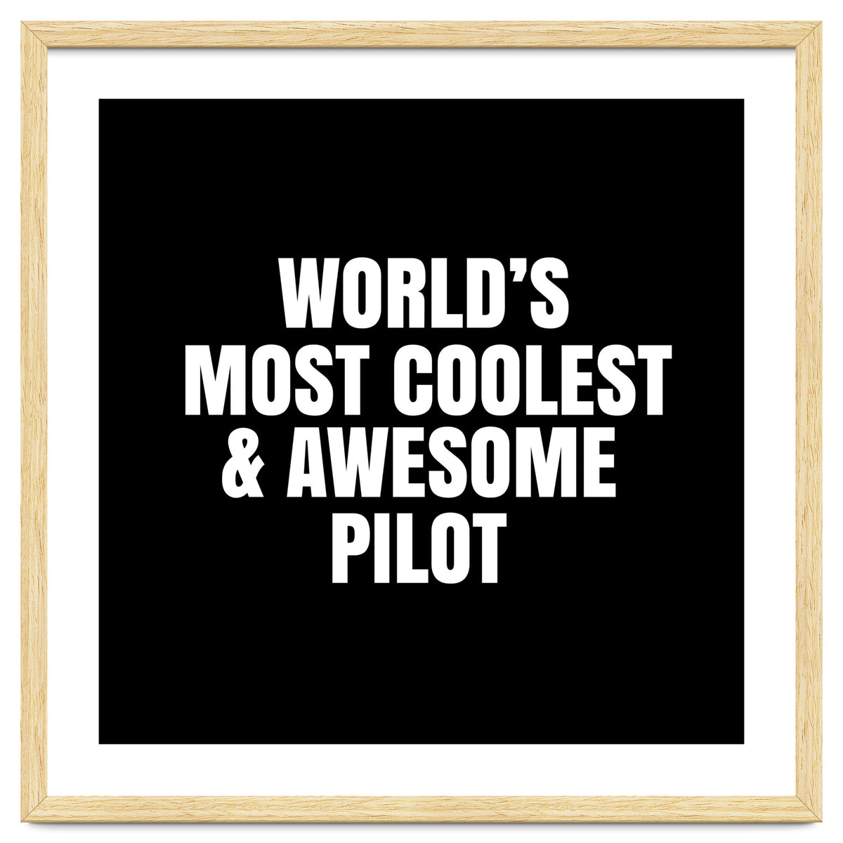 World's most coolest and awesome pilot