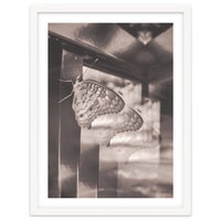 Evolving | Sepia