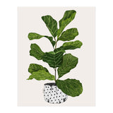 Fiddle Leaf Fig Tree Plant (Print Only) thumbnail