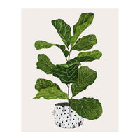 Fiddle Leaf Fig Tree Plant (Print Only)