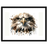 Fierce Bald Eagle Portrait thumbnail