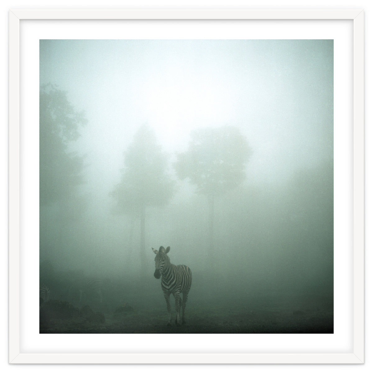 Silence of breath - 01