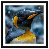 King Penguin Close Up In The Rain thumbnail