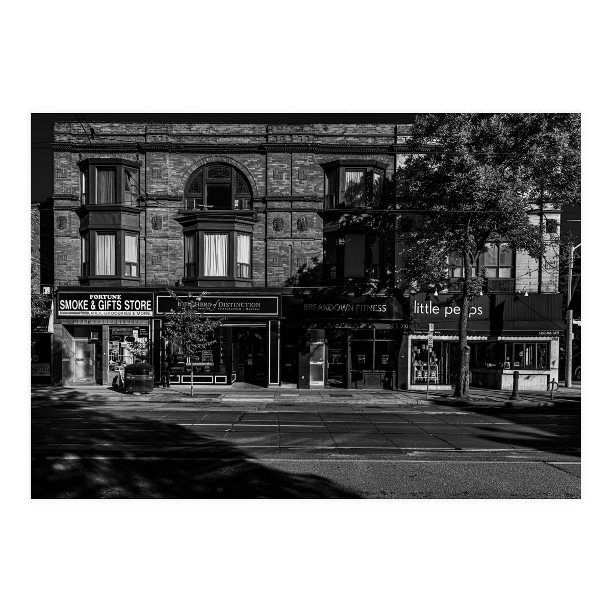 Nos 736 - 742 Queen St E 1 (Print Only)