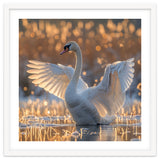 Swan Spreading Wings In Water Sunlight thumbnail