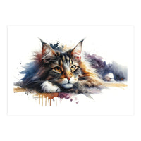 Maine Coon Resting Portrait (Print Only)