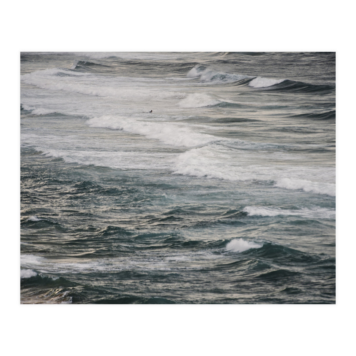 Winter Surfing V (Print Only)