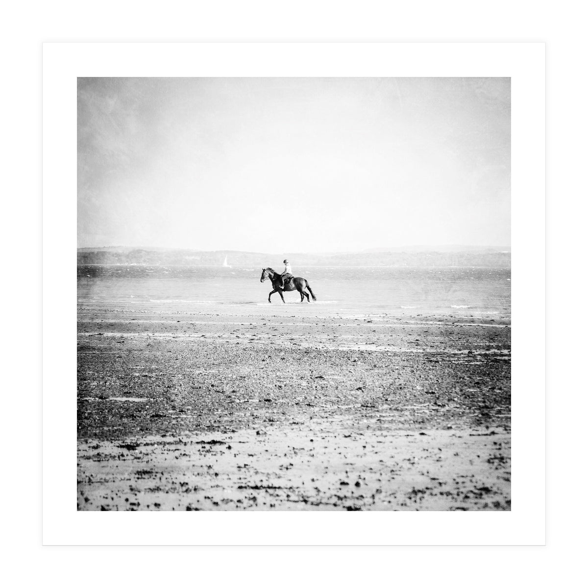 Sea Horse (Print Only)