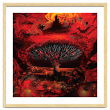 Socotra Dragon Blood tree thumbnail