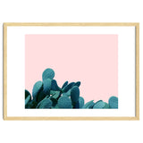 Kaktos thumbnail