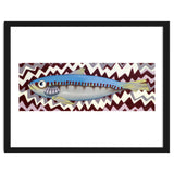 Sardine thumbnail