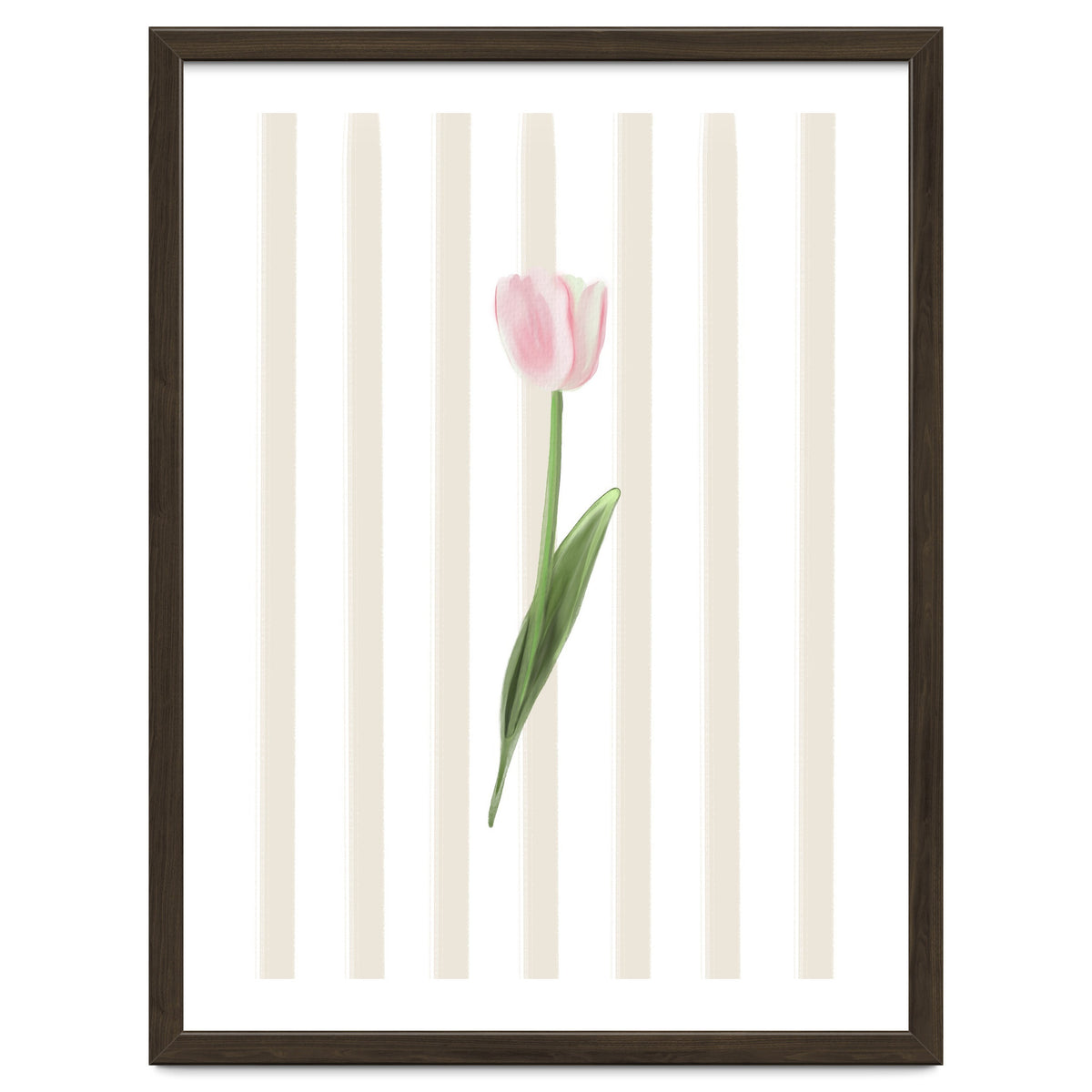 Single Tulip