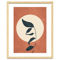 Summer Leaves
