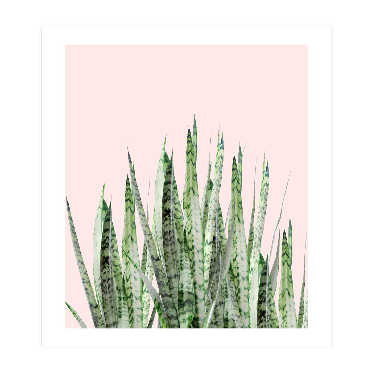 Botanical Balance (Print Only)