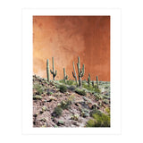 Rustic (Print Only) thumbnail