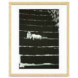 Cat On Stairs thumbnail