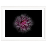 Backyard Flowers No 116 Color Flow Version thumbnail