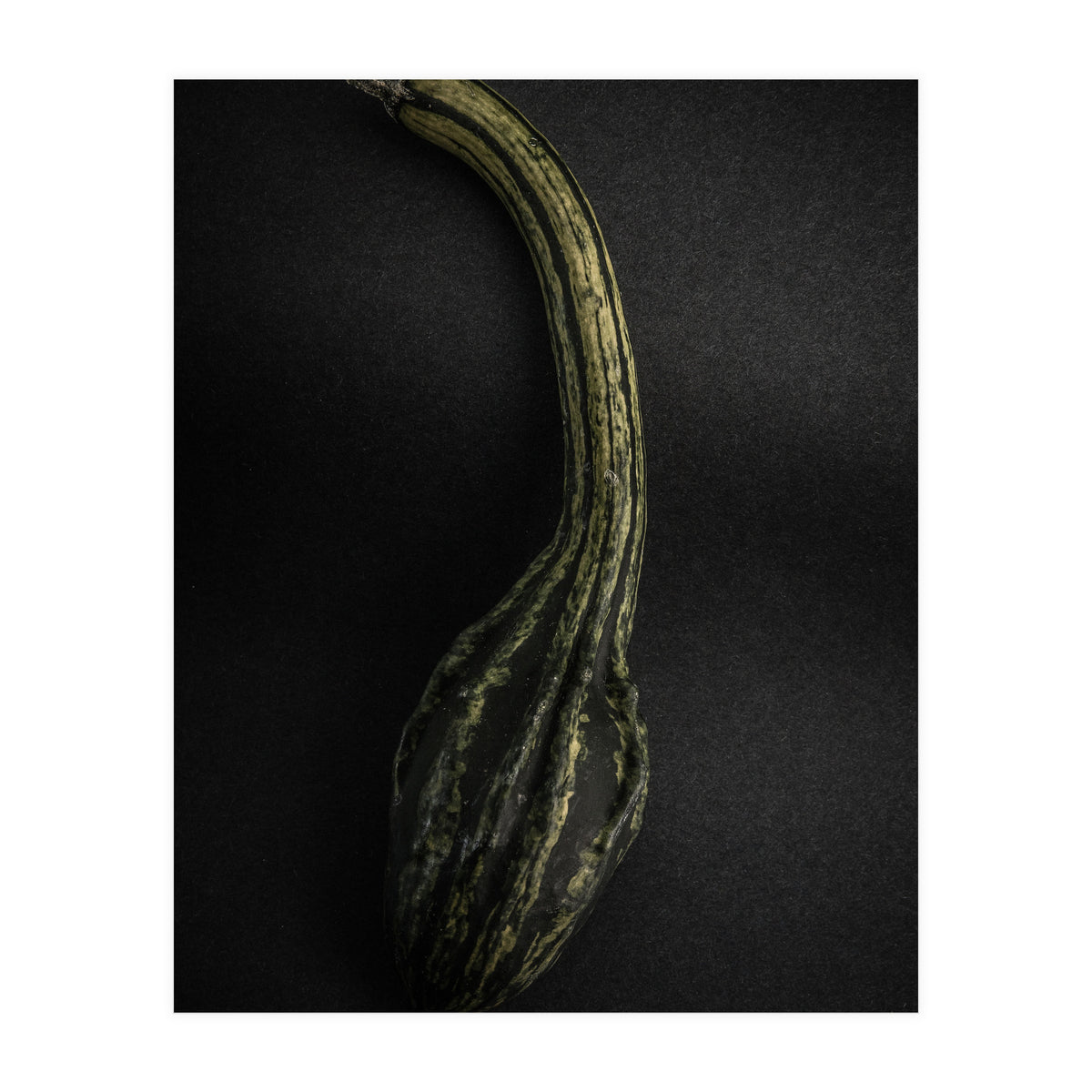 Gourds No 9 Color Version (Print Only)